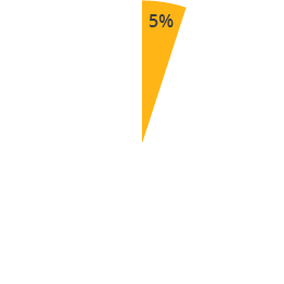 5%