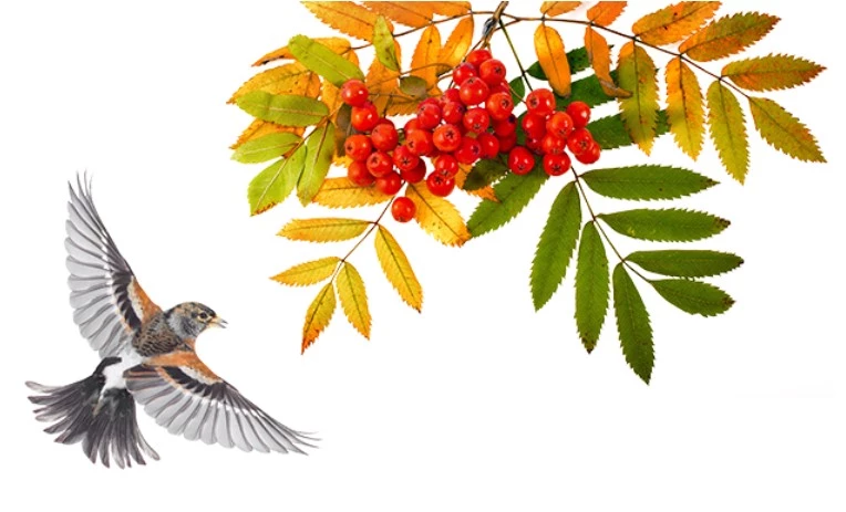 Единый семинар 1С: новое в ЭДО, КЭДО, маркировке и управлении бизнесом