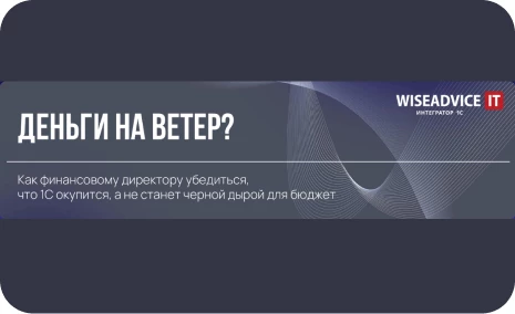 Как убедиться, что 1С окупится, а не станет черной дырой для бюджета