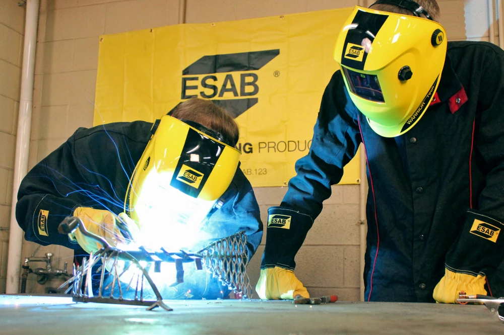 WiseAdvice поддерживает ERP-систему транснационального холдинга ЭСАБ