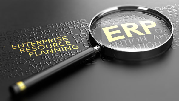 Выбор и преимущества ERP систем для управления предприятием