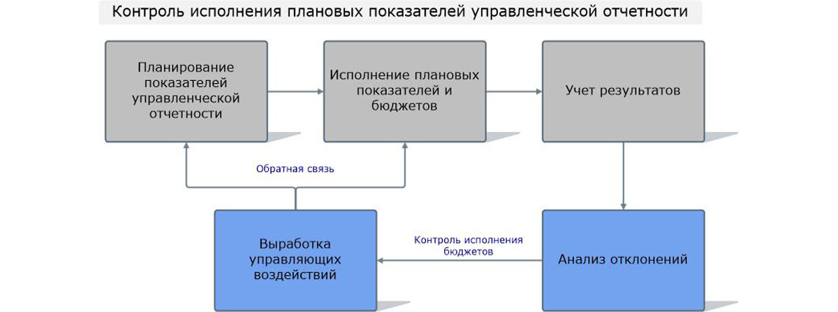 Рис.6 Контроль исполнения плановых показателей управленческой отчетности