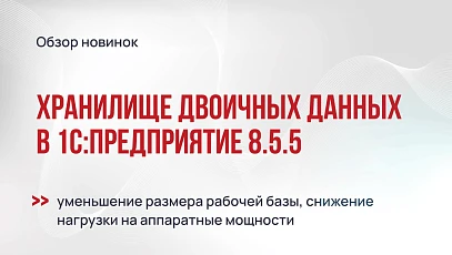 Хранилище двоичных данных в 1С 8.5.5: реквизиты табличных частей и гибкая проверка целостности