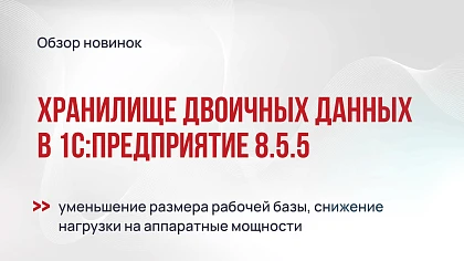 Хранилище двоичных данных в 1С 8.5.5: реквизиты табличных частей и гибкая проверка целостности