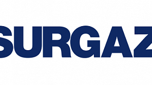 Обойная компания Surgaz начала сотрудничать с WiseAdvice в рамках предпроектного обследования