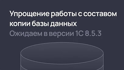 Упрощение работы с составом копии базы данных в 1С:Предприятие 8.5.3